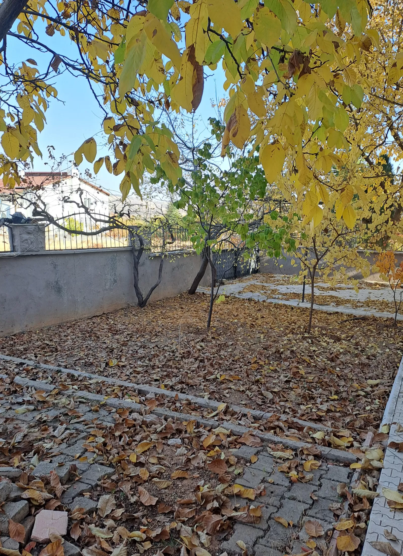 BİR HÜZÜN MEVSIMI YAPRAK DÖKÜMÜ